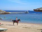 Hauza Beach Resort Picture 6
