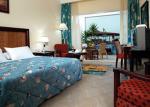 Melia Sinai Hotel Picture 4