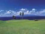 Iberostar Las Dalias Hotel Picture 3