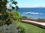 Domina Coral Bay Aquamarine Hotel Picture 2