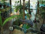 Flamingo Oasis Benidorm Hotel Picture 2