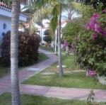El Palmeral Apartments Picture 1