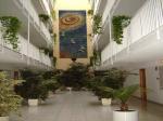 Avenida Apartments Picture 2