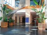 Madeira Centro Hotel Picture 3