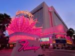Flamingo Hotel Picture 3
