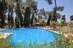 Las Chapas Hotel Picture 2