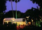 Gran Melia Don Pepe Hotel Picture 1