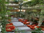 Tsokkos Anastasia Beach Hotel Picture 2