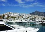 Melia Marbella Banus Hotel Picture 7