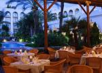 Melia Marbella Banus Hotel Picture 4