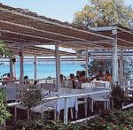 Pallini Beach Hotel Picture 3