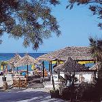 Pallini Beach Hotel Picture 2