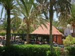 Riu Papayas Hotel Picture 1