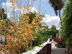 Guacimeta Apartments Picture 7