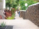 Guacimeta Apartments Picture 12