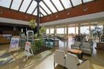 Club Caleta Dorada Bungalows Picture 1