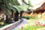 Oasis Village Apartments Picture 8