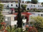 Corona Rosa Apartments Picture 2