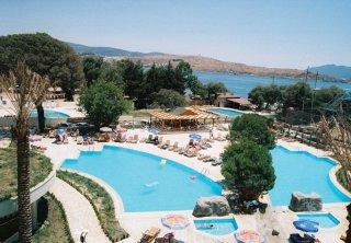 Royal Palm Area Hotel