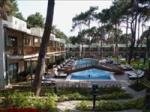 Turquoise Resort Hotel & Spa Picture 9
