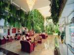 Vulcano Hotel Picture 3