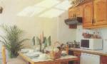 Paradise Court Apartments Picture 1