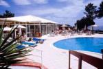 Riu Falesia Hotel Picture 2