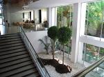 Las Palomas Hotel Picture 3
