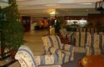 Melia Costa Del Sol Hotel Picture 4