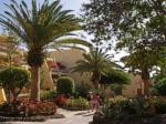 Sol Jandia Mar Apartments Picture 4