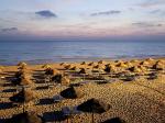Sentido Djerba Beach Hotel Picture 1