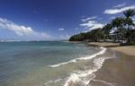 Grand Paradise Playa Dorada Beach Resort Picture 5