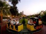 Delphin Botanik Hotel Picture 2