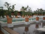 Sentidos En Rio Real Hotel Picture 1