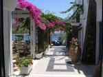 Venus Beach Hotel Picture 4