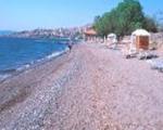 Delfinia Hotel and Bungalows Picture 1