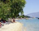 Eva Beach Hotel Picture 2
