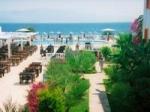 Malama Beach Hotel Picture 3