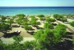 Doryssa Seaside Resort Hotel Picture 3