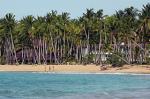 Viva Residence Las Terrenas Picture 2