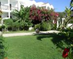 Mediterranean Hotel Picture 2