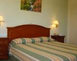 Oasis Hotel Apartments Picture 5