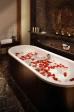 Melia Madrid Reina Victoria Hotel Picture 3
