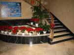 Spa Senator Espana Madrid Hotel Picture 2