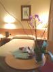 Victoria 4 Hotel Picture 3