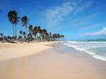 Colony Bay Resort Hotel Picture 10