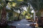 Los Escullos Campsite Picture 2