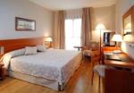 Tryp Indalo Hotel Picture 1