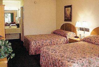 rodeway inn maingate