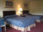 Orlando Plams Hotel Picture 3
